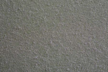 Green dusty surface close-up macro shot, horizontalの写真素材