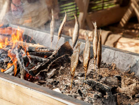 Fish on sticks over hot coals, natural fish smoking.の写真素材