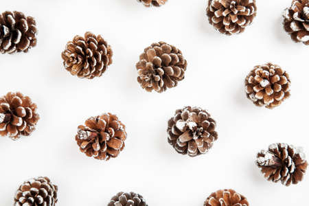 Fir tree cone on a white background abstract pattern