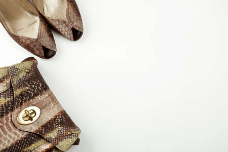 Female shoes and bag made of snake skin imitation on a white background top view, flat layの写真素材