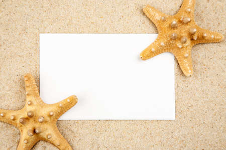 Two starfishes in the sand with blank white paper card, text spaceの写真素材