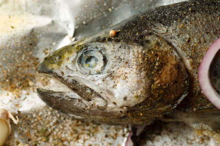 Fresh fish with spices and onion on aluminum foil, closeupの写真素材