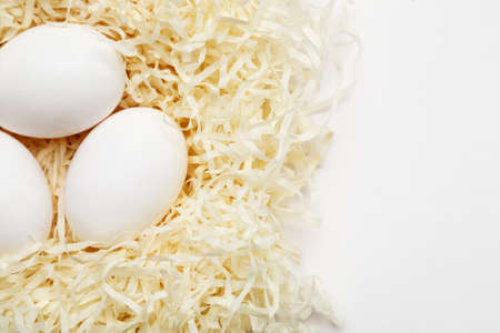 Pile of white eggs in soft nest, top view, copy spaceの写真素材