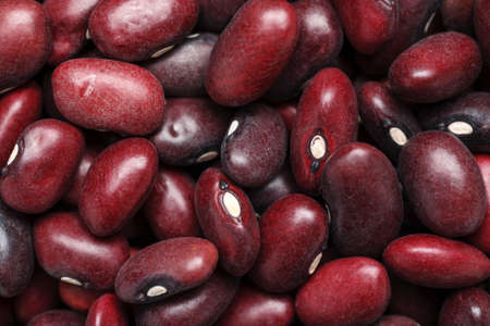 Red kidney beans macro shot, abstract textureの写真素材