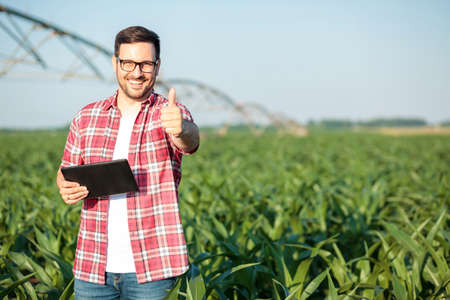 Happy young farmer or agronomist in red checkered shirt showing thumbs up and smiling directly at camera. Standing in corn field, holding a tablet. Organic farming and healthy food productionの写真素材