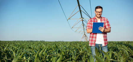 Happy young farmer or agronomist in red checkered shirt writing on a clipboard, inspecting a corn field. Irrigation system in the background. Wide ratio panoramic photo. Organic farming and food productionの写真素材