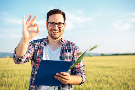 Smiling young agronomist or farmer inspecting wheat field before the harvest. Looking directly at camera, showing OK sign and holding a clipboard. Organic farming and healthy food productionの写真素材