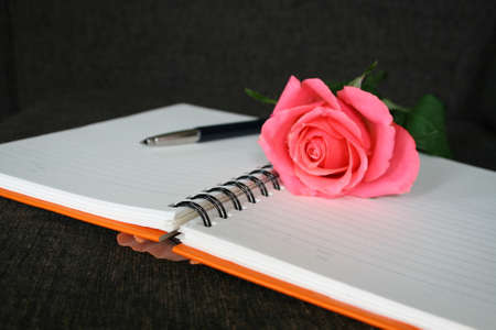 rose and notebookの写真素材