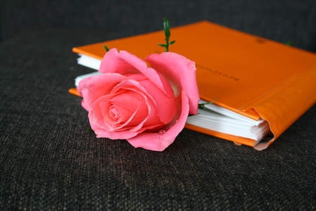 rose and notebookの写真素材