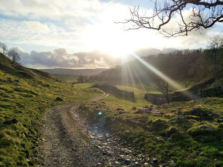 countryside views path sunset green flower and plants tree woods forest hill mountain Village magic Fairy tale town landscape valleyの写真素材