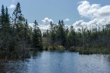 Little creek next to the lake