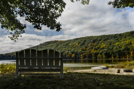 Wooden bench on the shores of a lake in the autumn forestの写真素材