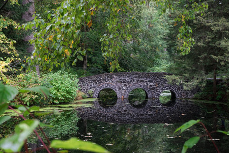 Old stone bridge over a pond in the park, close-upの写真素材