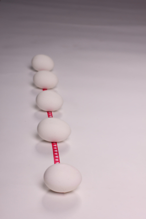 Isolated easter eggs on the white background with pink lineの写真素材