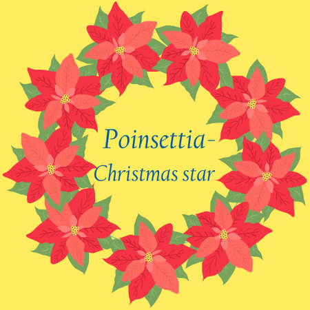 Retro Christmas card with flower poinsettia - Christmas starのイラスト素材