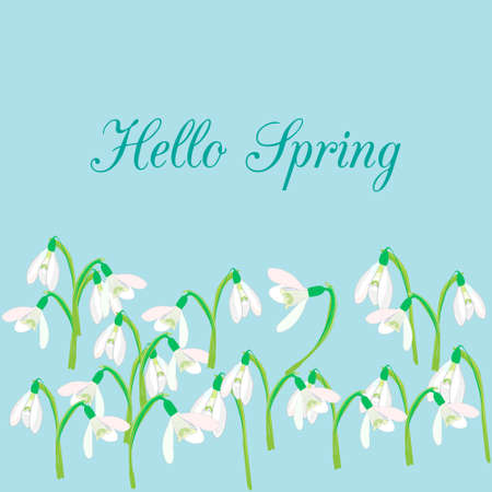 Snowdrops on a blue background. Spring illustration. background with snowdrop. Background with flower. Illustrations of flowers. Spring backgroundのイラスト素材