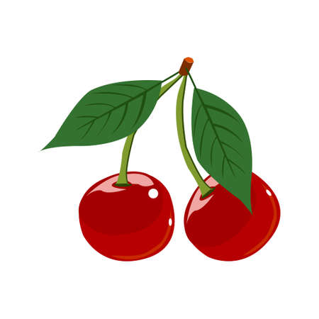 Ripe red cherry berries with leaves. Vectorのイラスト素材