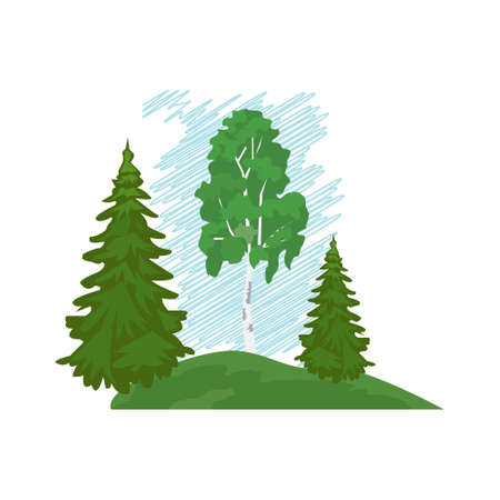 Woodland, spruce, pine, birch, grass and stones. Isolated on white background vectorのイラスト素材