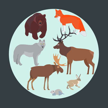 Vector concept with forest animals, arranged in a circle. Isolated on a light background.のイラスト素材
