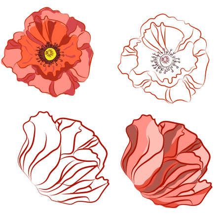 Beautiful poppy flowers. Spray paint. Freehand drawing in Vintage style, vector illustrationのイラスト素材