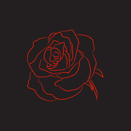 Colour sketch, silhouette rose flower on black background, vector illustrationのイラスト素材