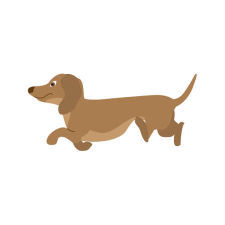 Dog Dachshund.のイラスト素材