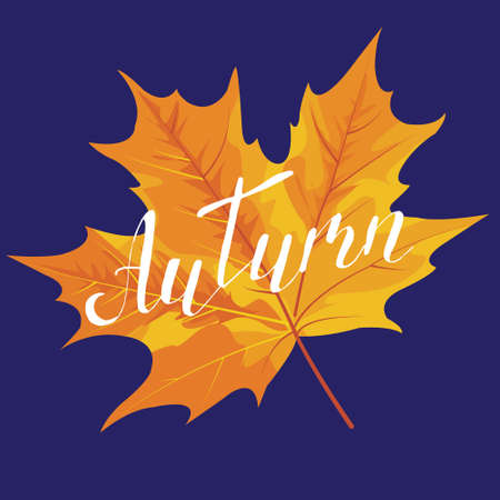 Autumn, hand lettering, quotes.Modern motivation calligraphy, typography for the poster, invitations, greeting cards.Vector design letteringのイラスト素材