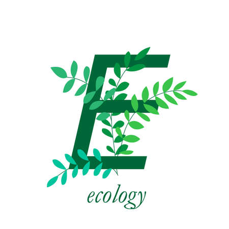 Ecology Logo. Design of a natural eco-friendly product of the company. Flat vector illustrationのイラスト素材