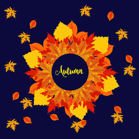 Illustration with colorful autumn leaves and lettering for bright, seasonal design, vector illustrationのイラスト素材