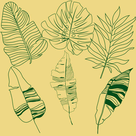 Set of vector tropical leaves. hand drawn botanical vector illustrationのイラスト素材