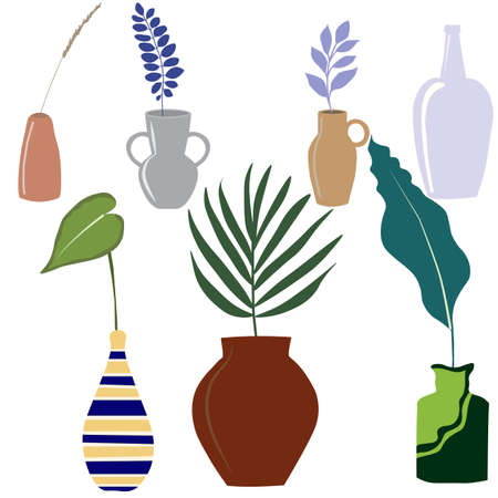 Set of various vessels with exotic plants, vector illustrationのイラスト素材