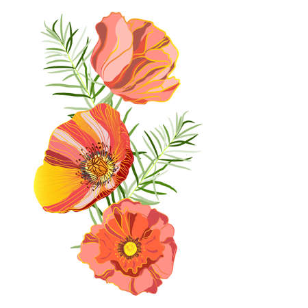 An illustration with a place for the inscription, beautiful exquisite poppies and branches of curly asparagus. Vectorのイラスト素材