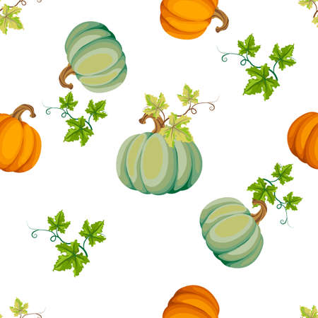 Seamless autumn pattern of pumpkins and leaves on a white background, Vectorのイラスト素材