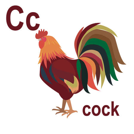 Cute beautiful cock, the ABC of children's wall art. Postcards with the alphabet. Poster with children's alphabet. The atmosphere of the game room. C is for the rooster. vectorのイラスト素材
