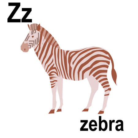 The beauty of the jungle striped zebra, a wonderful representative of African animals, ABC children's banner. Postcards, a poster with the alphabet. game room design. vectorのイラスト素材