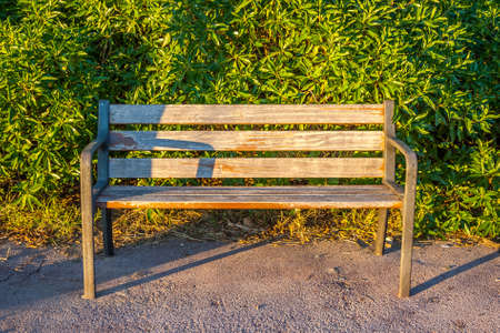 Bench alone of wood and iron on the park