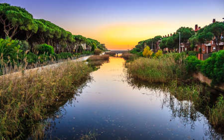 Beautiful orange sunset on the river with vegetationの写真素材