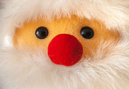 Close-up portait of Santa Claus ragdoll with red noseの写真素材