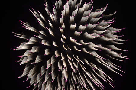 fireworks の写真素材