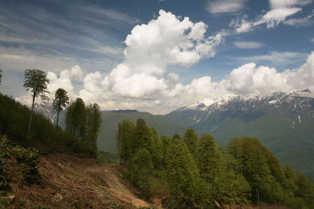 The Caucasian mountains in Krasnaya Polyana in vicinities of Sochi in the south of Russia