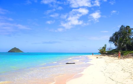 Tropical beachの写真素材