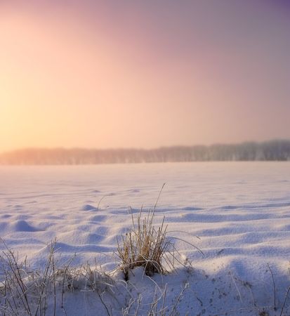 Photo of warm sunset on a cold winterdayの写真素材