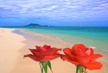 Beach dreams (with space for text)の写真素材