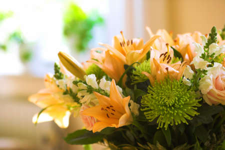 Close-up of flowers (indoor, in front of window)の写真素材