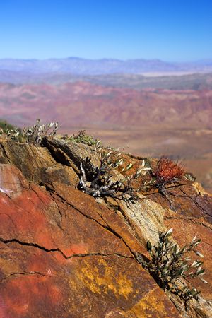 Californian desert - east of San Diego, Californiaの写真素材