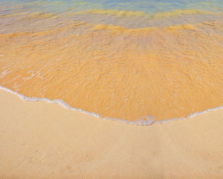 Tropical beachの写真素材