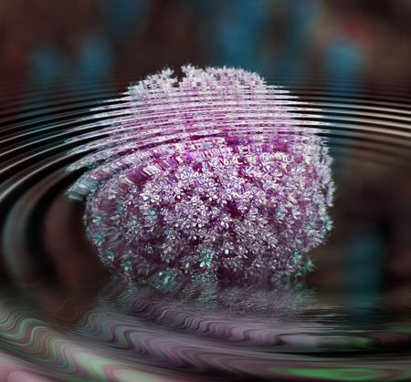 Round flower in Danish gardenの写真素材