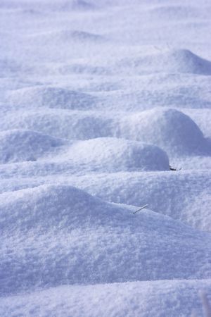 Photo of soft winter landscape
