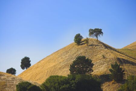 Californian prairieの写真素材