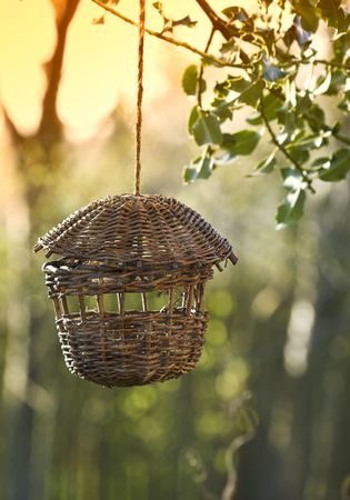 Photo of nice birdtable in late afternoon sunの写真素材